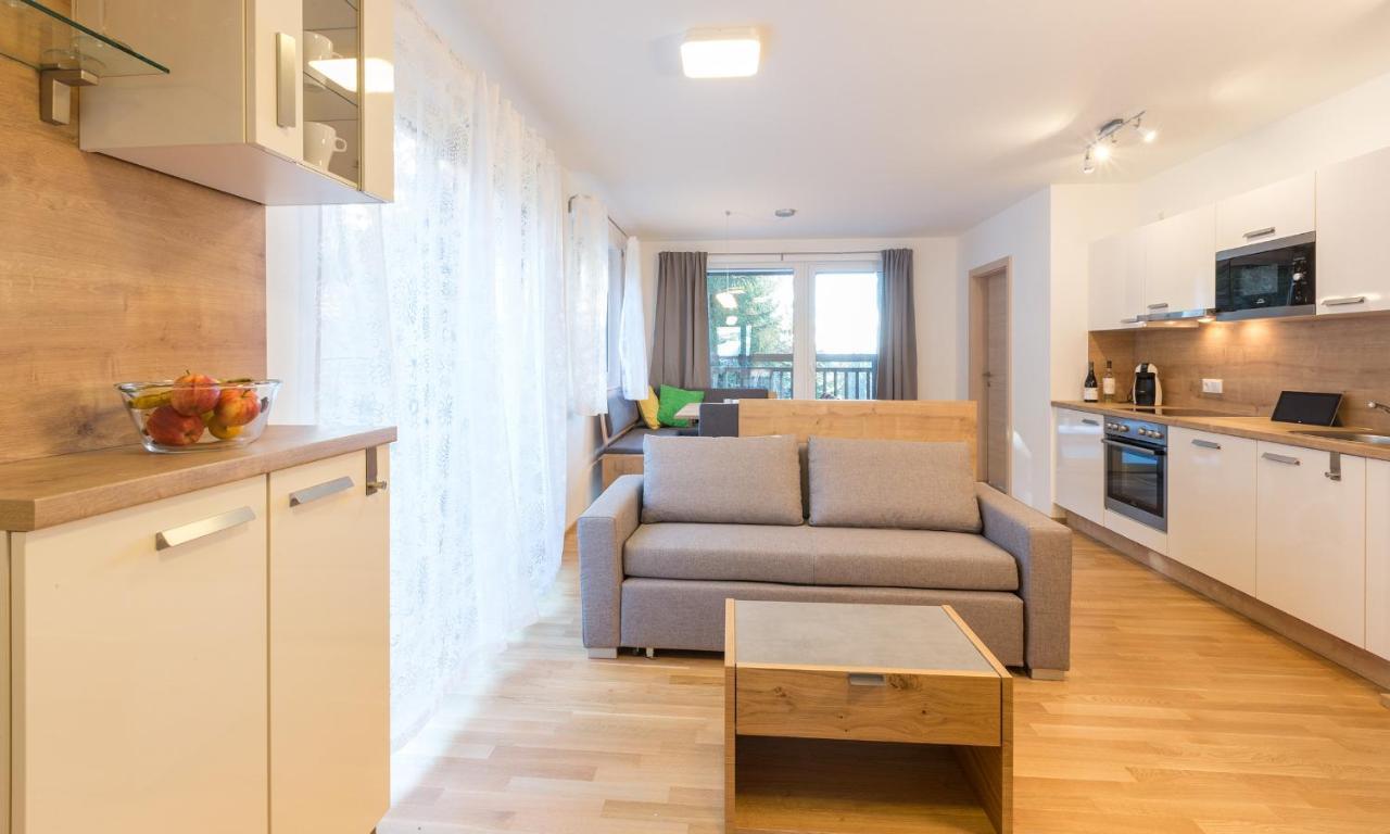 Ski In Ski Out Apartment Fastenberg Top 2 By Aa Holiday Homes シュラートミンク エクステリア 写真